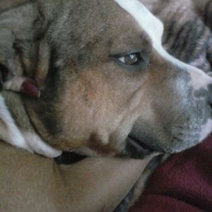 Meet your Posher, Dana